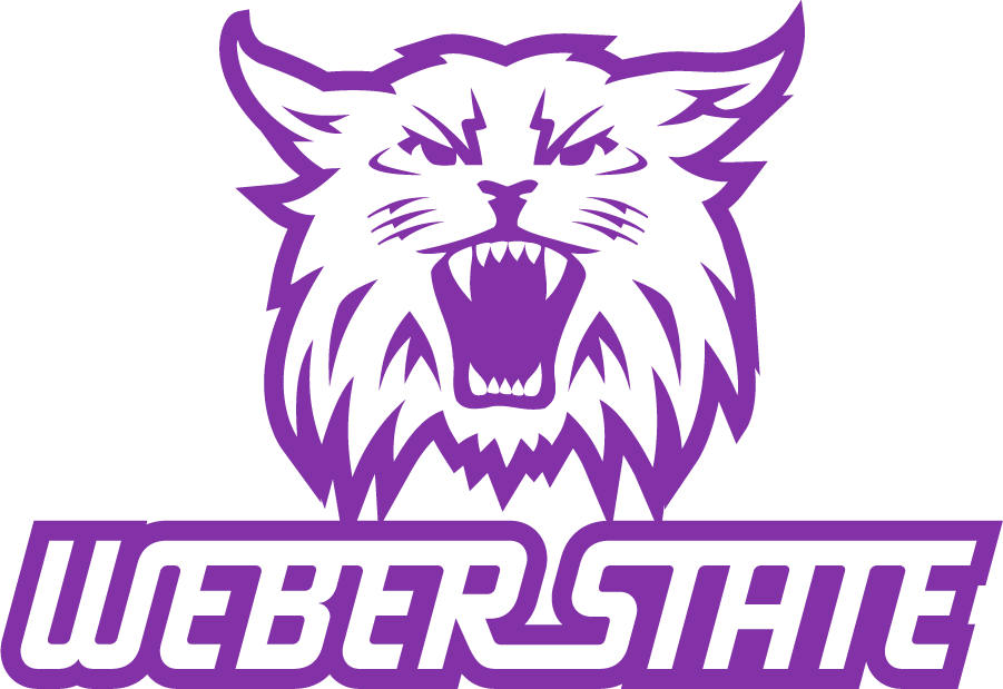Weber State Wildcats 2008-2012 Secondary Logo v3 t shirts iron on transfers